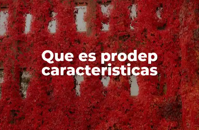 Que es Prodep Caracteristicas