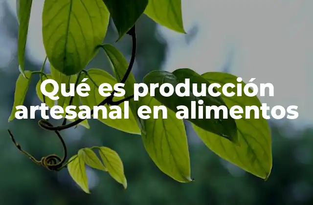 Qué es Producción Artesanal en Alimentos