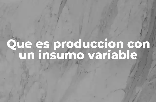 Que es Produccion con un Insumo Variable