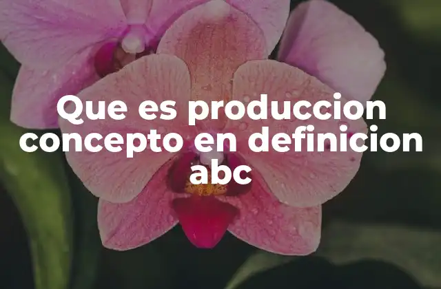 Que es Produccion Concepto en Definicion Abc