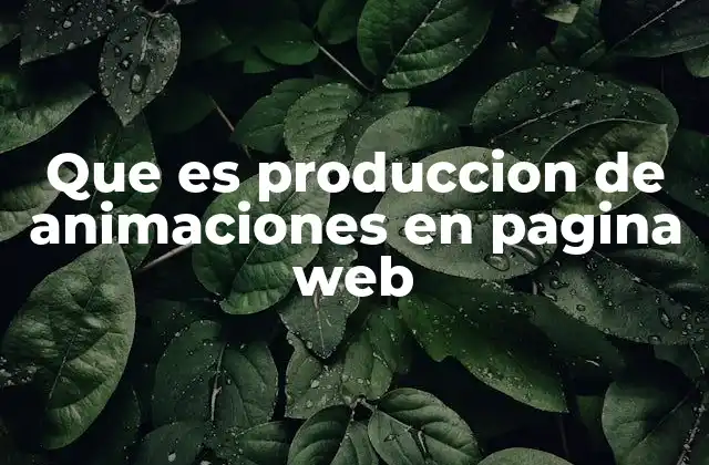 Que es Produccion de Animaciones en Pagina Web