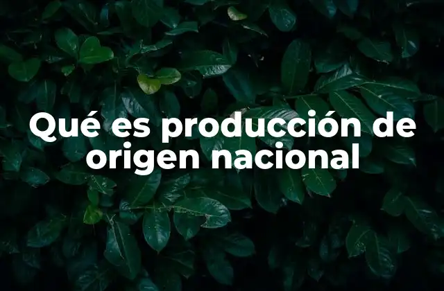 Qué es Producción de Origen Nacional