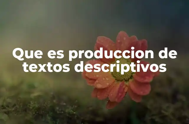 Que es Produccion de Textos Descriptivos 2 La importancia de la descripción en la comunicación efectiva