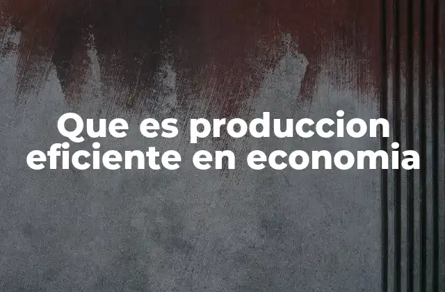 Que es Produccion Eficiente en Economia
