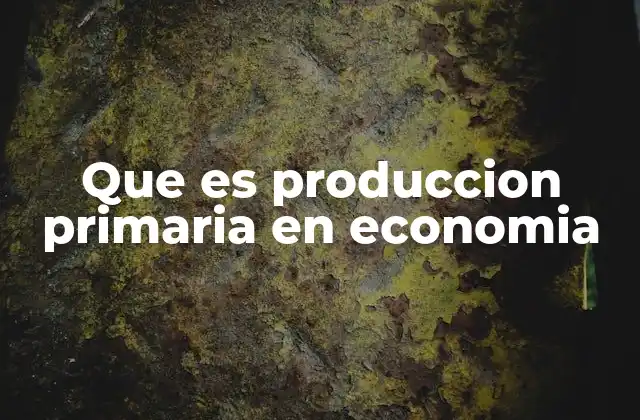 Que es Produccion Primaria en Economia