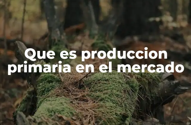 Que es Produccion Primaria en el Mercado