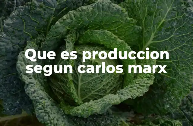 Que es Produccion Segun Carlos Marx