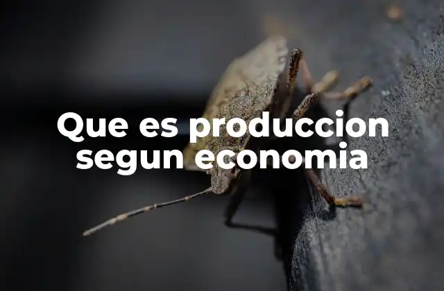 Que es Produccion Segun Economia