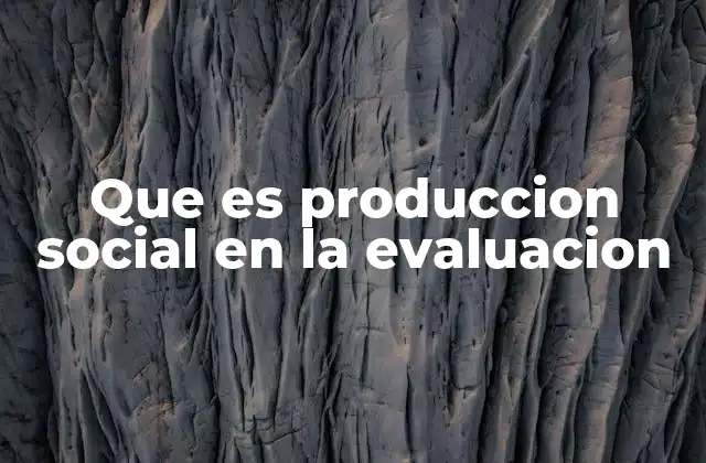 Que es Produccion Social en la Evaluacion