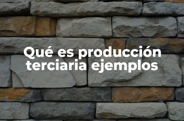 Qué es Producción Terciaria Ejemplos