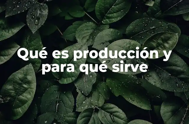 Qué es Producción y para Qué Sirve