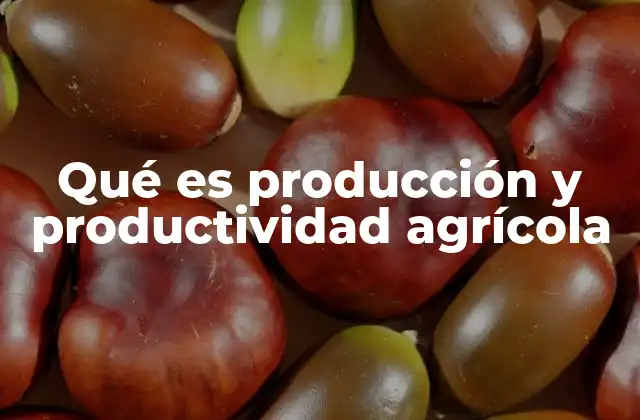 Qué es Producción y Productividad Agrícola