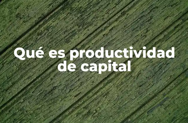 Qué es Productividad de Capital