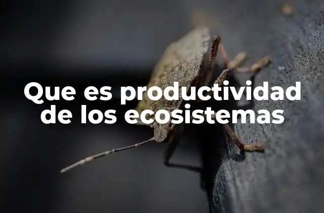 Que es Productividad de los Ecosistemas