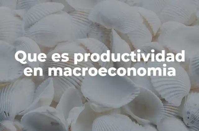 Que es Productividad en Macroeconomia