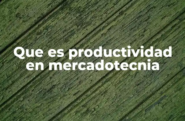Que es Productividad en Mercadotecnia