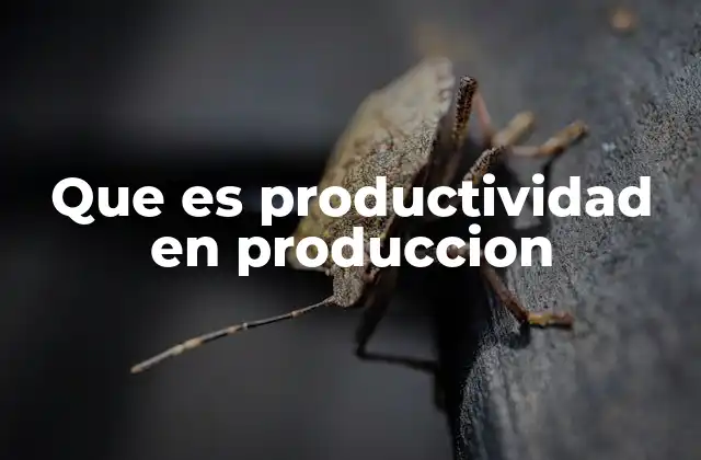 Que es Productividad en Produccion