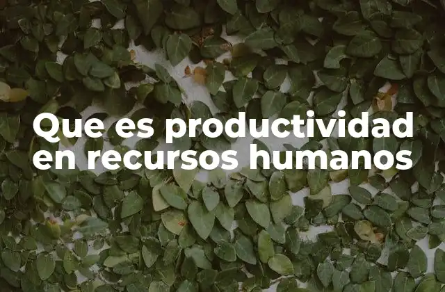 Que es Productividad en Recursos Humanos