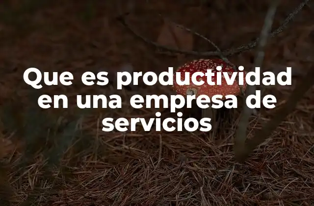 Que es Productividad en una Empresa de Servicios 2 La importancia de la eficiencia en la prestación de servicios