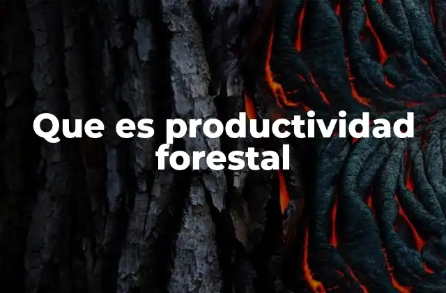 Que es Productividad Forestal 2 Factores que influyen en la productividad forestal