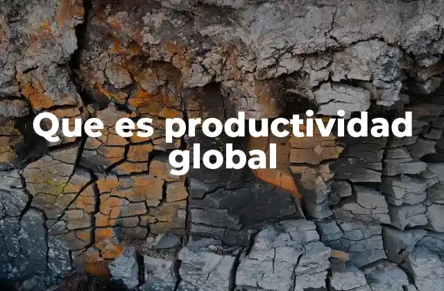 Que es Productividad Global