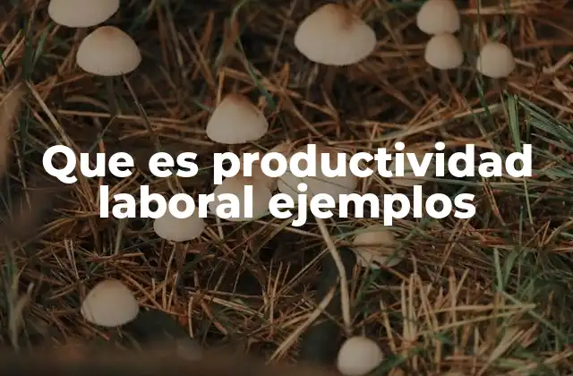 Que es Productividad Laboral Ejemplos