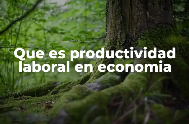 Que es Productividad Laboral en Economia