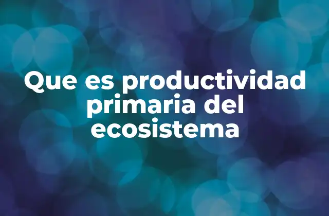 Que es Productividad Primaria Del Ecosistema 2 La base energética de los ecosistemas