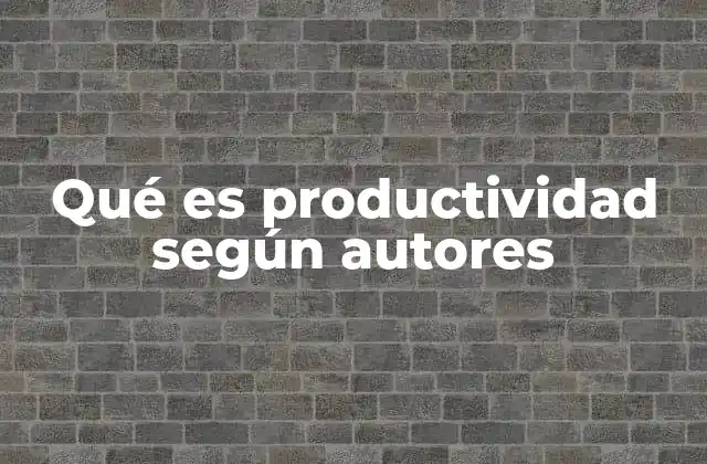 Qué es Productividad según Autores