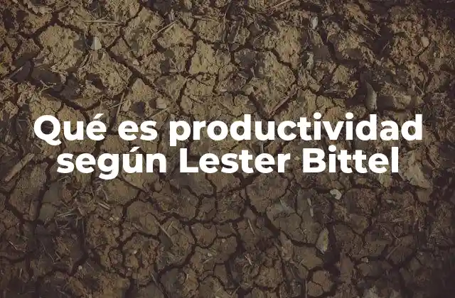 El enfoque holístico de Bittel sobre la productividad