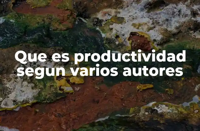 Que es Productividad Segun Varios Autores