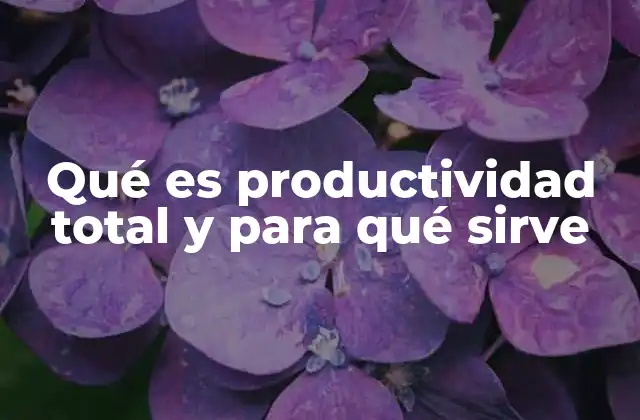 Qué es Productividad Total y para Qué Sirve