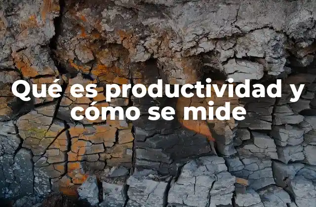 Qué es Productividad y Cómo Se Mide