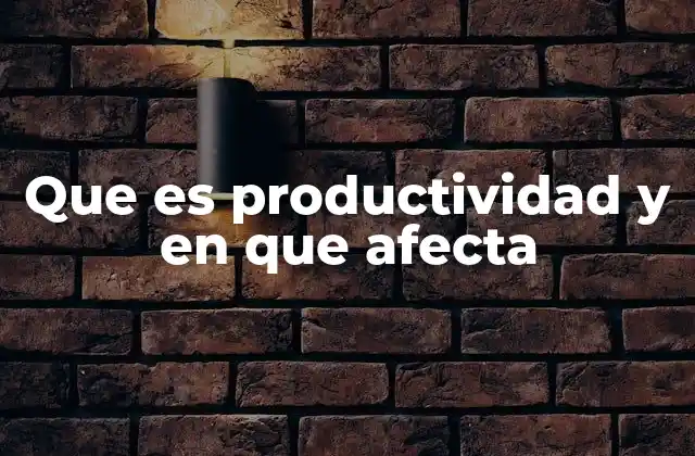 Que es Productividad y en que Afecta