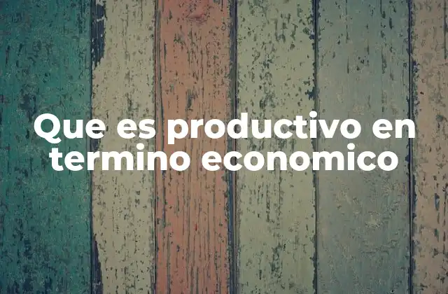 Que es Productivo en Termino Economico