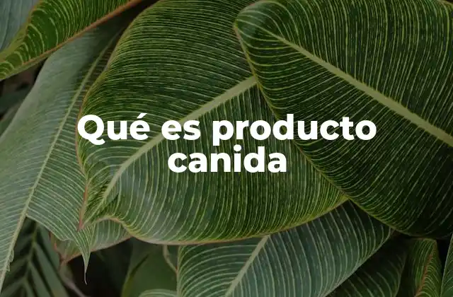 Qué es Producto Canida 2 Cómo se relaciona el entretenimiento con el Producto Canida