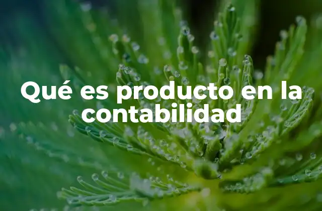 Qué es Producto en la Contabilidad