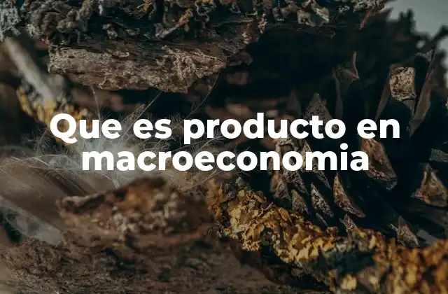 Que es Producto en Macroeconomia