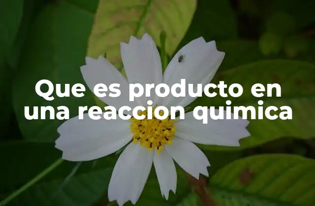 Que es Producto en una Reaccion Quimica