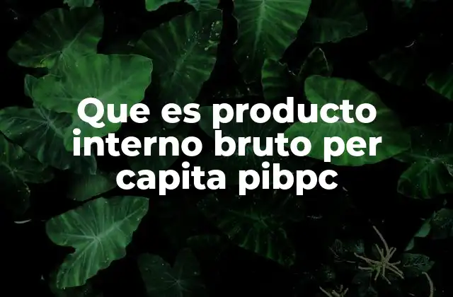 Que es Producto Interno Bruto Per Capita Pibpc 2 El PIBpc como herramienta para evaluar el desarrollo económico