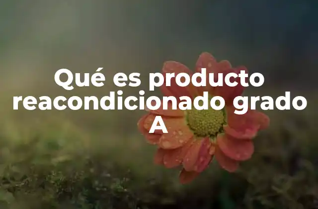Qué es Producto Reacondicionado Grado a