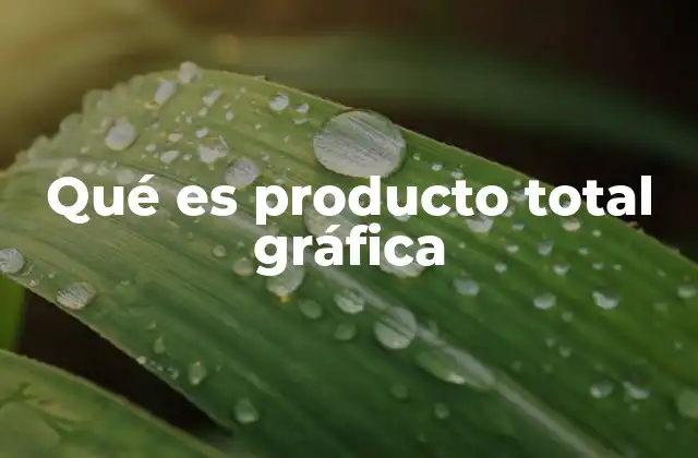 Qué es Producto Total Gráfica