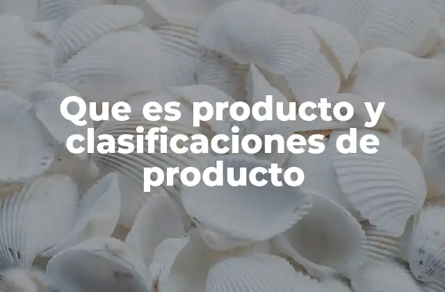 Que es Producto y Clasificaciones de Producto