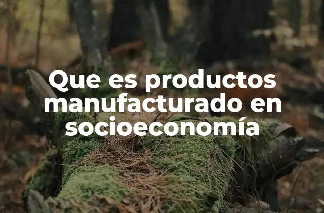 Que es Productos Manufacturado en Socioeconomía