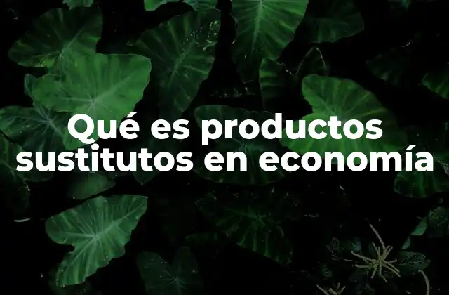 Qué es Productos Sustitutos en Economía