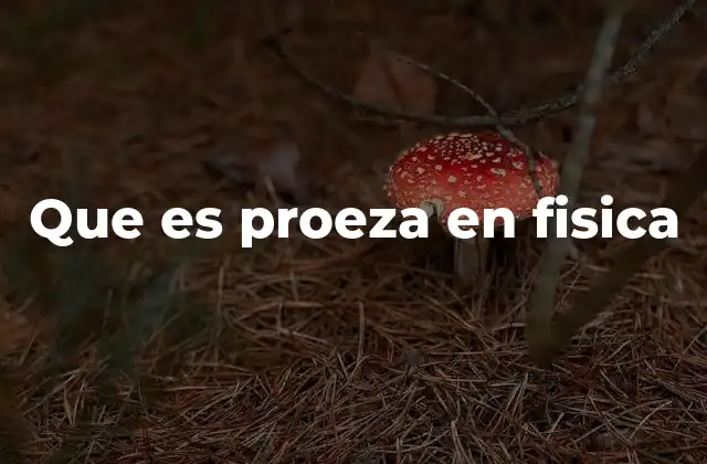 Que es Proeza en Fisica