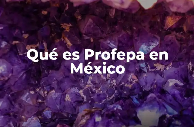 Qué es Profepa en México
