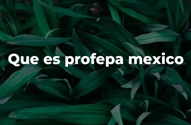 Que es Profepa Mexico