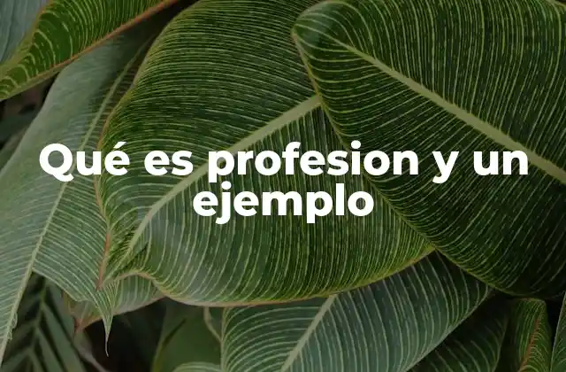 Qué es Profesion y un Ejemplo