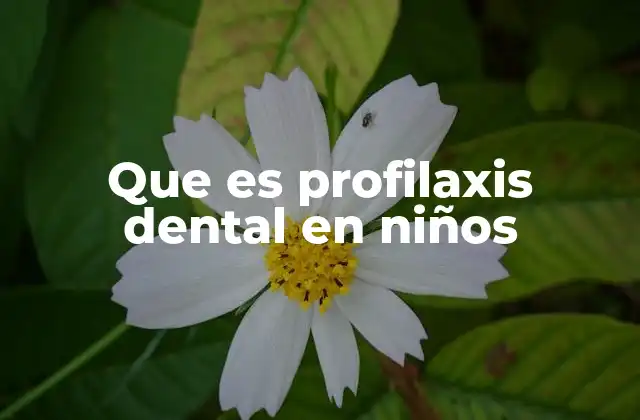 Que es Profilaxis Dental en Niños